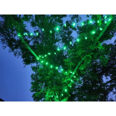 Green 12V string lights wrapped through a tree